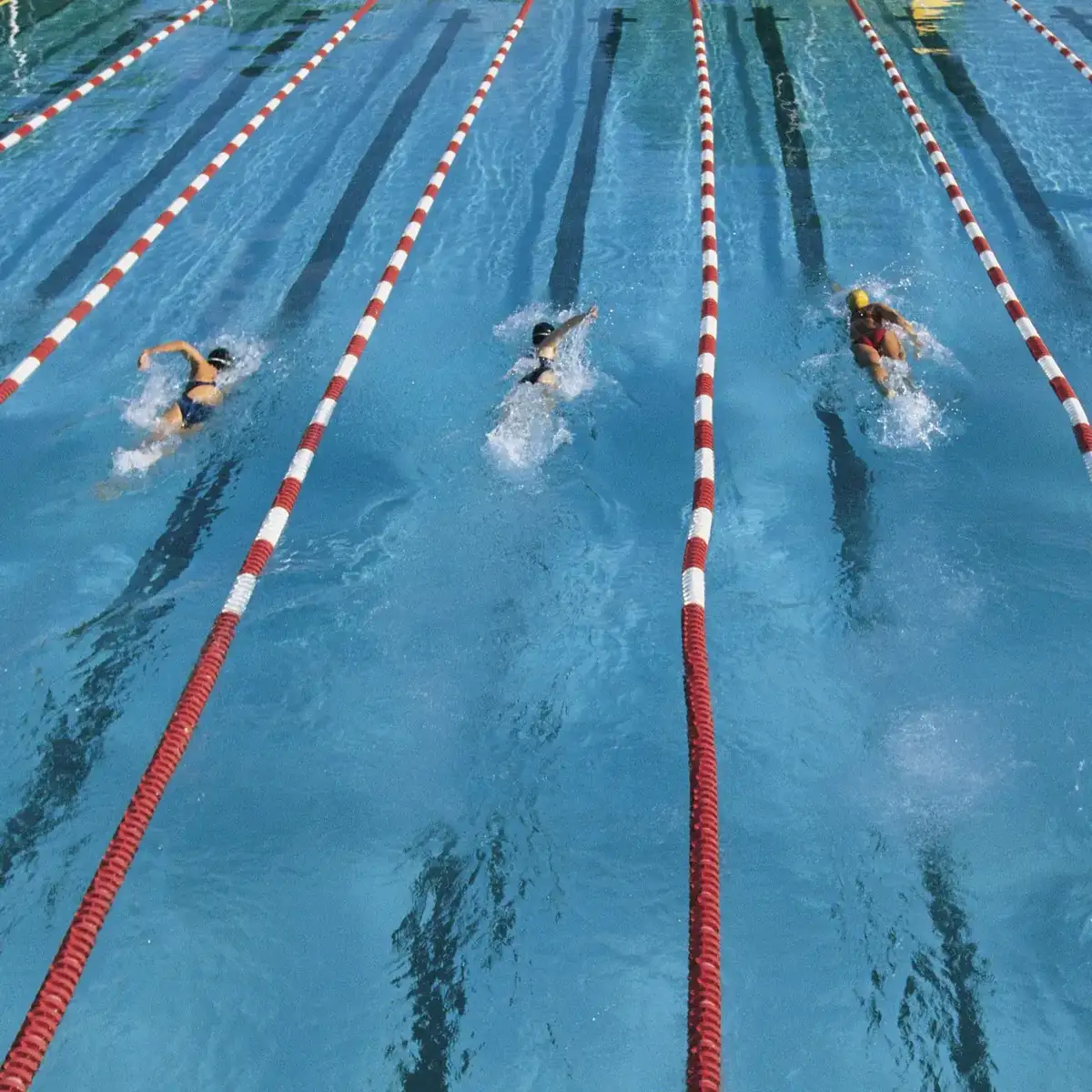Swimmers racing freestyle across marked competition lanes in a training pool